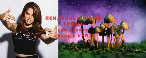 мяу мяу мука Надым